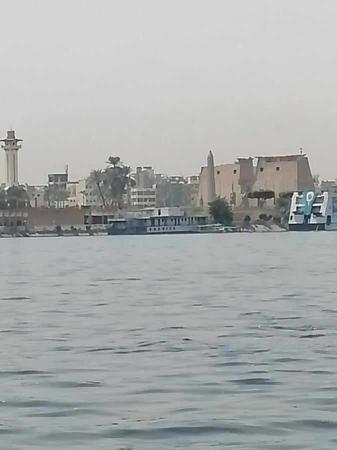 Winter Guest House Luxor Buitenkant foto