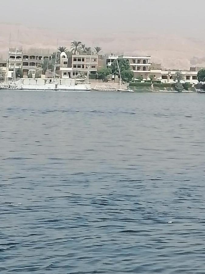 Winter Guest House Luxor Buitenkant foto